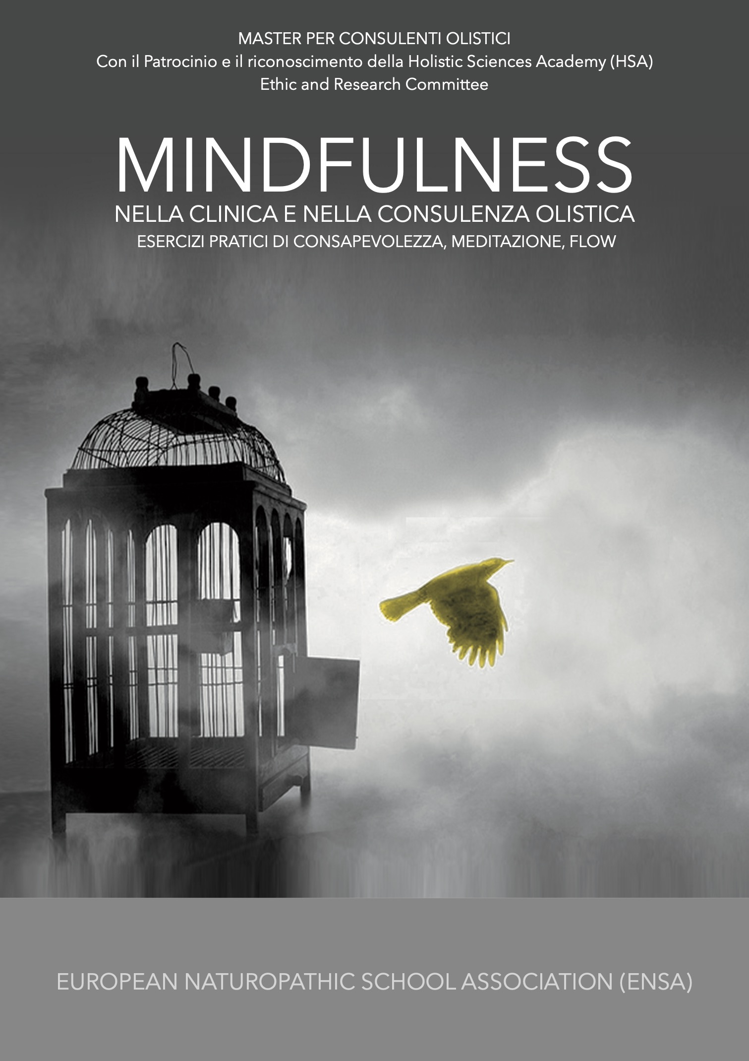 Mindfulness nella clinica e nella consulenza olistica