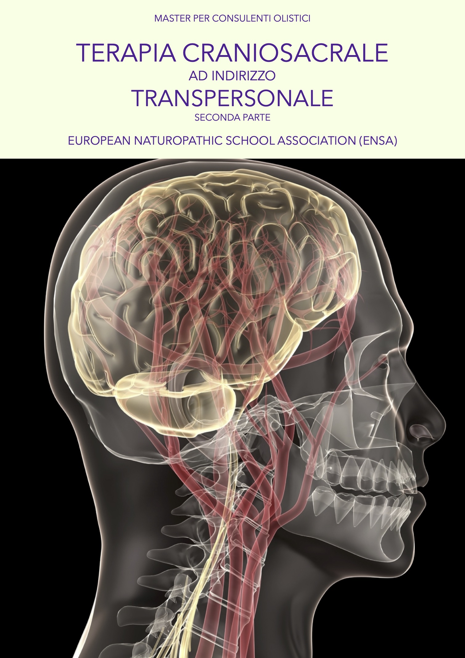 TERAPIA CRANIOSACRALE 