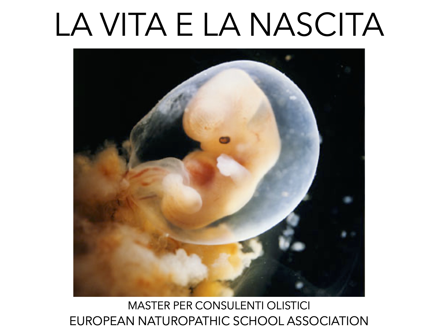 LA VITA E LA NASCITA