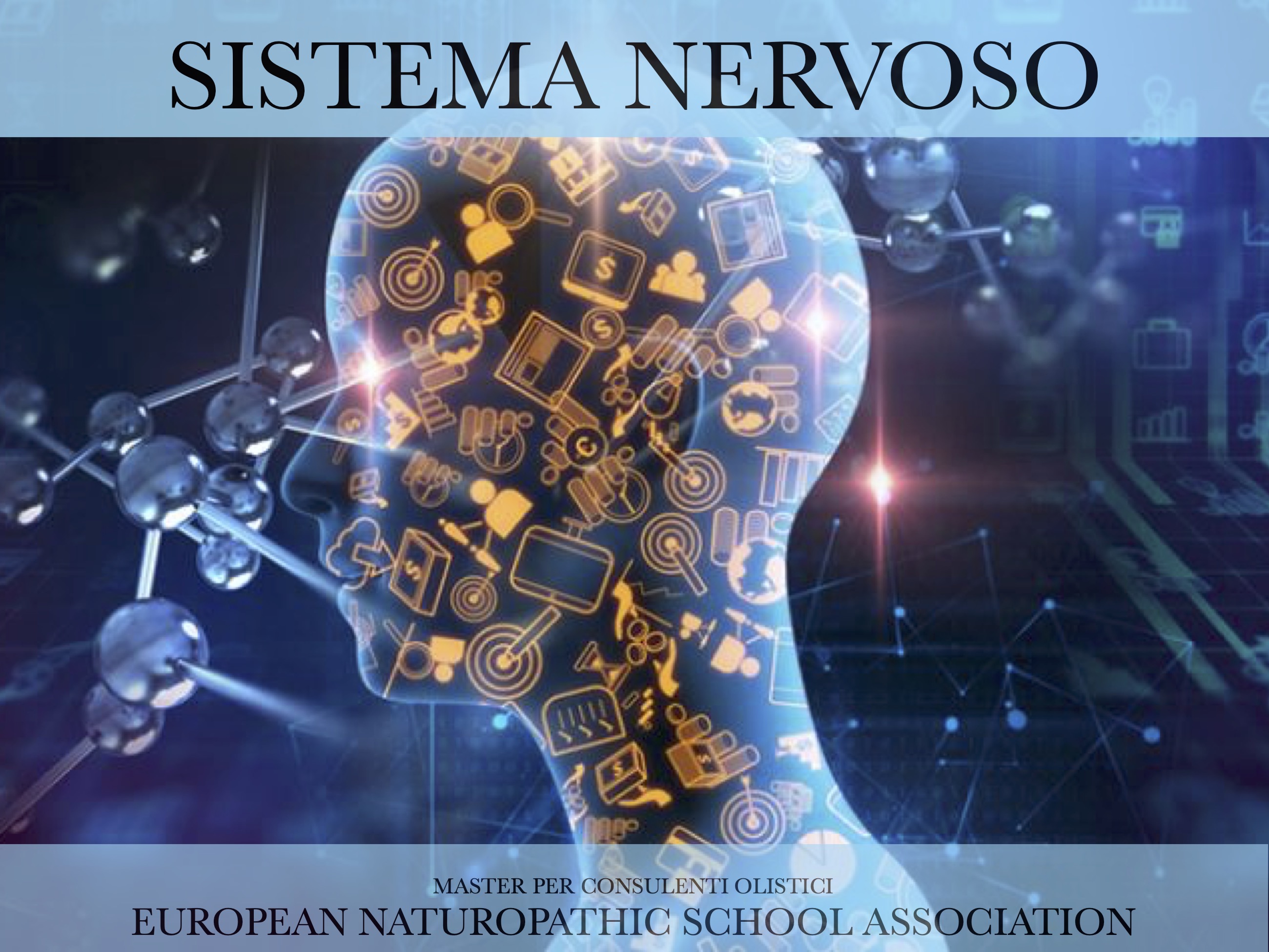 SISTEMA NERVOSO