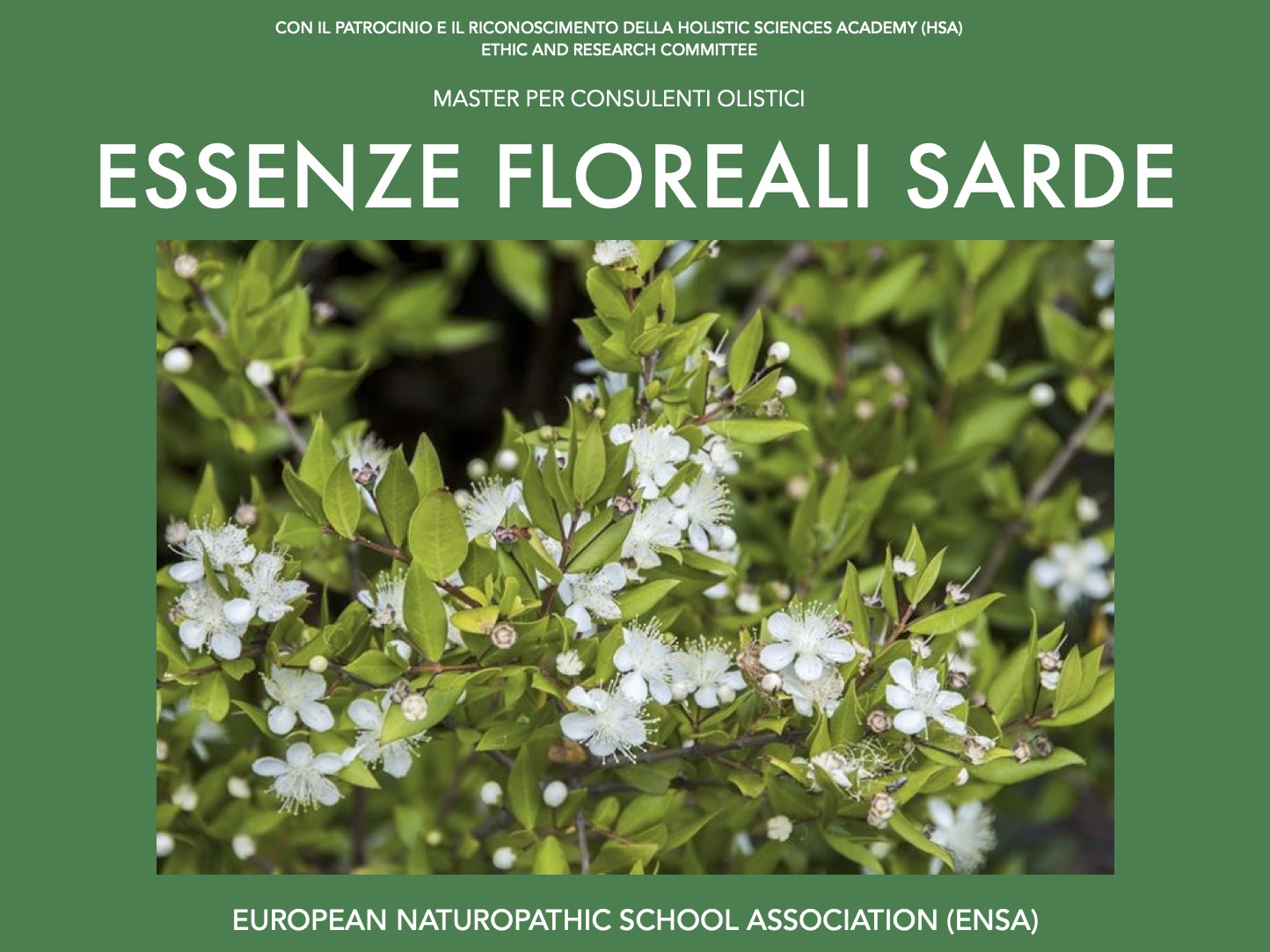 Essenze floreali sarde