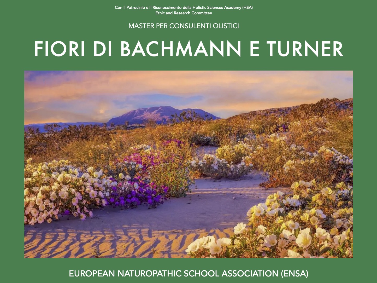 Fiori di Bachmann e Turner