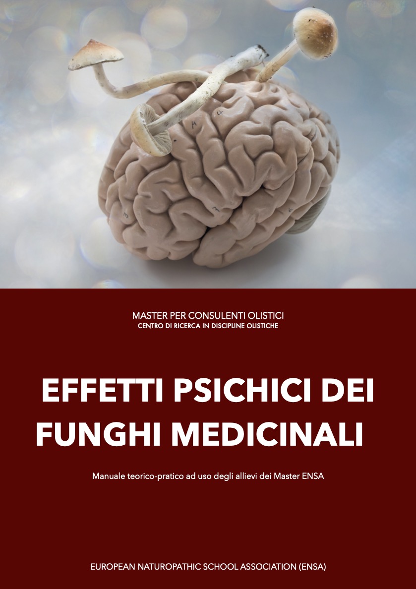 Effetti psichici dei funghi medicinali