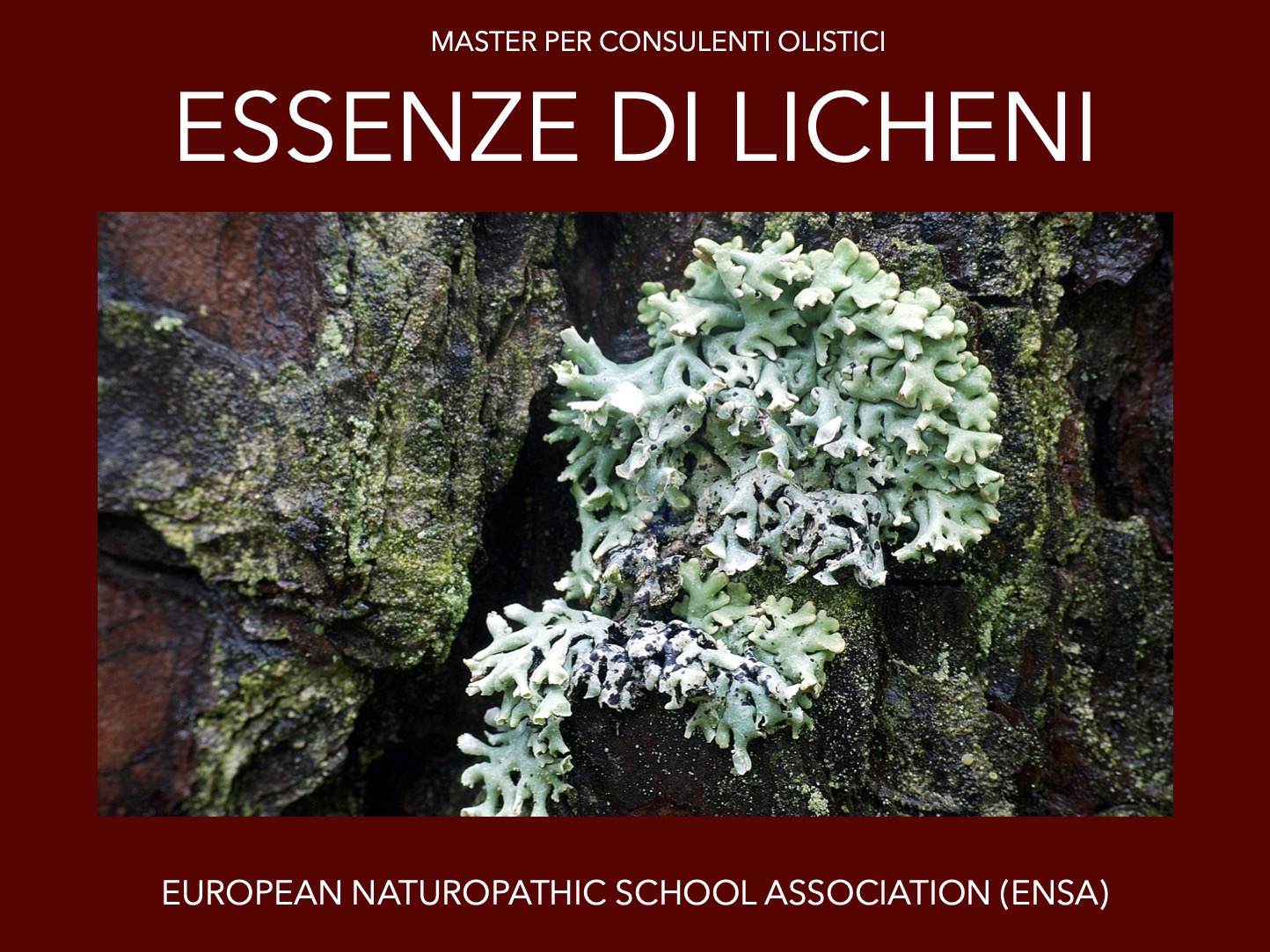 Essenze di lichene