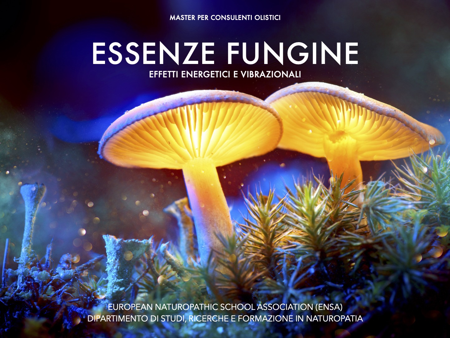 Essenze fungine energetiche