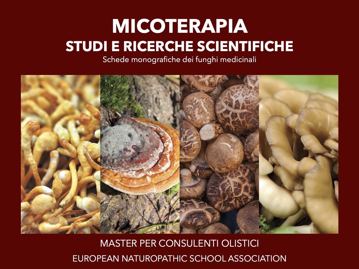 Micoterapia studi e ricerche scientifiche