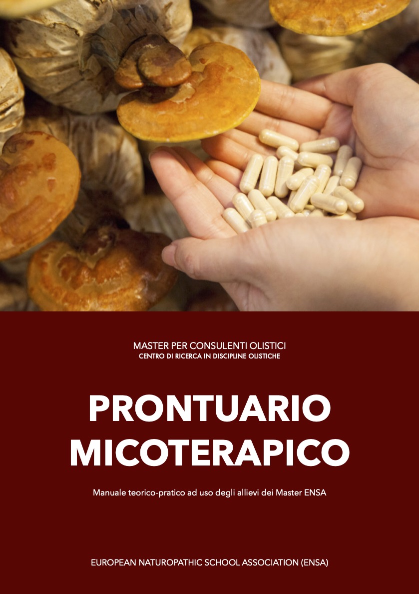 Prontuario micoterapico