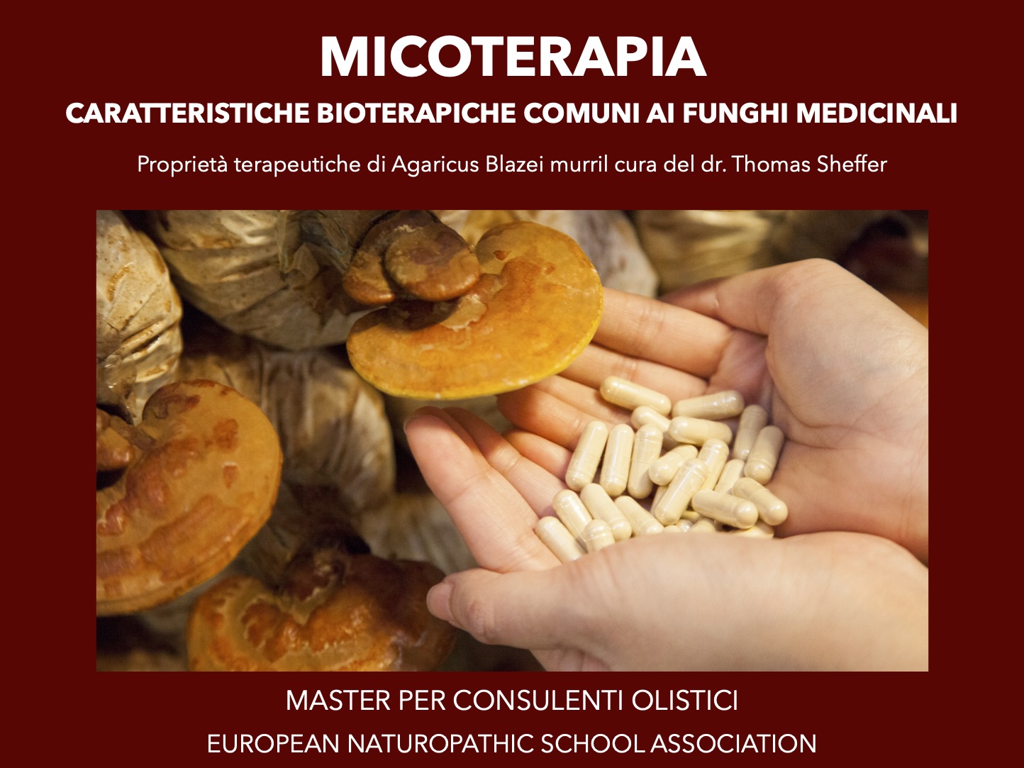 Micoterapia oncologica