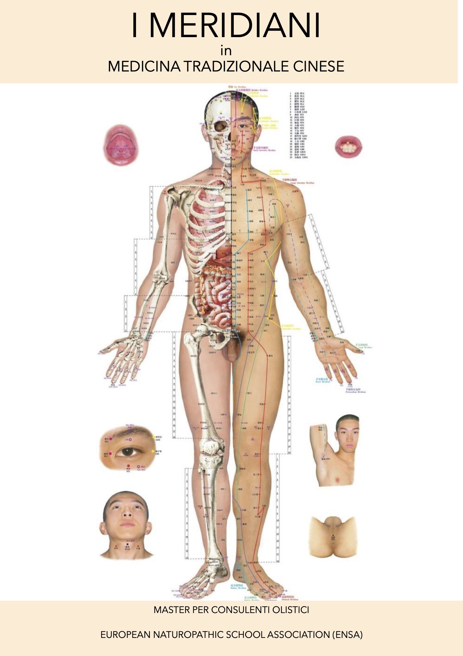 I meridiani in Medicina tradizionale cinese