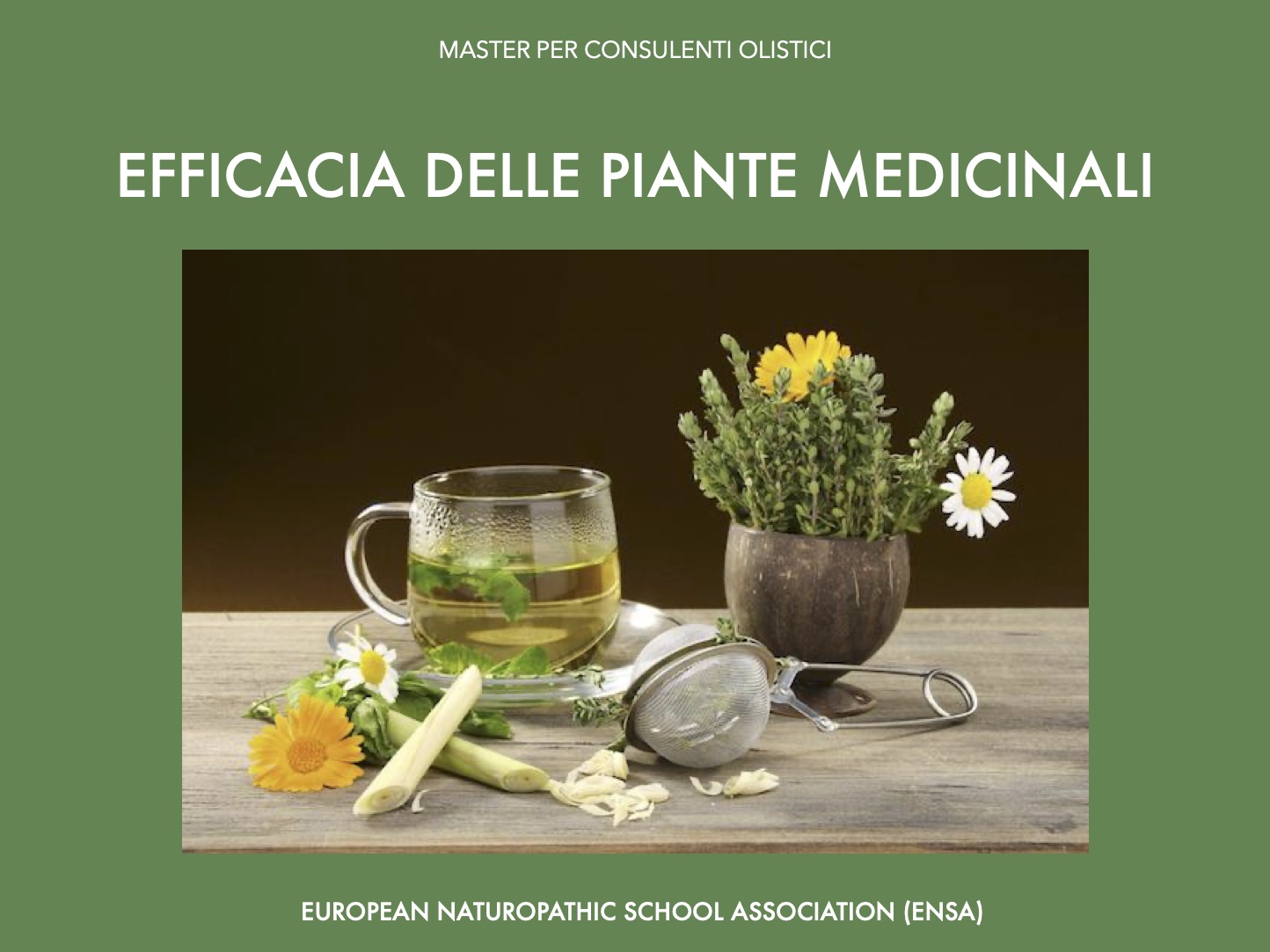 Efficacia delle piante medicinali