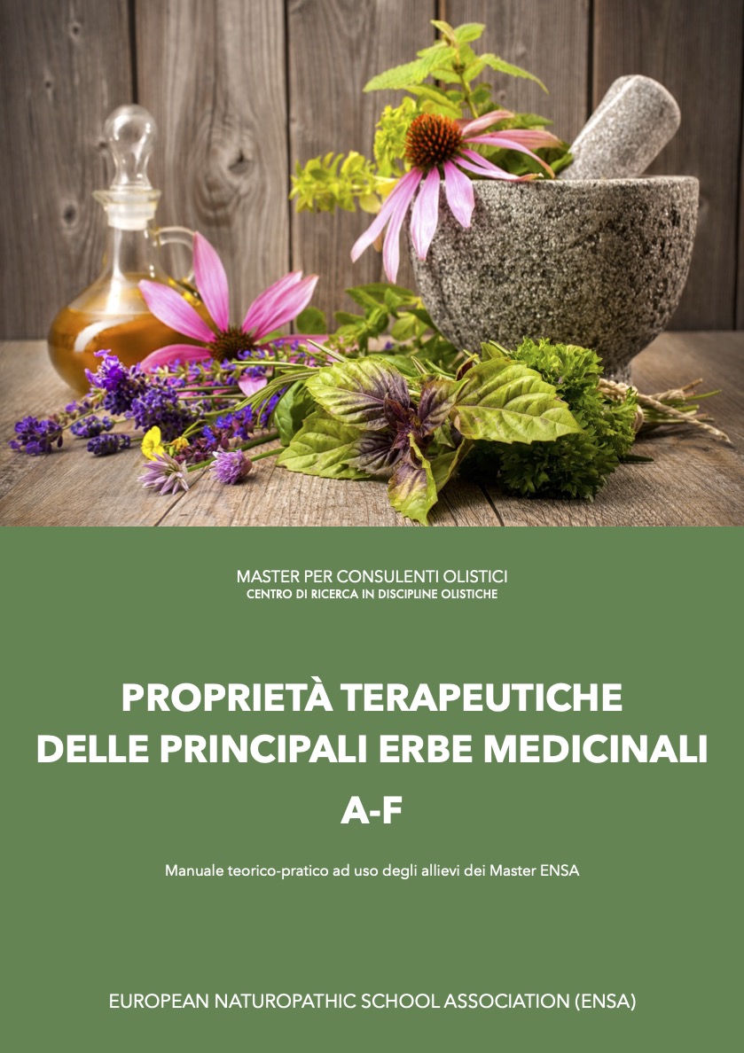 Proprietà terapeutiche delle principali erbe medicinali 1