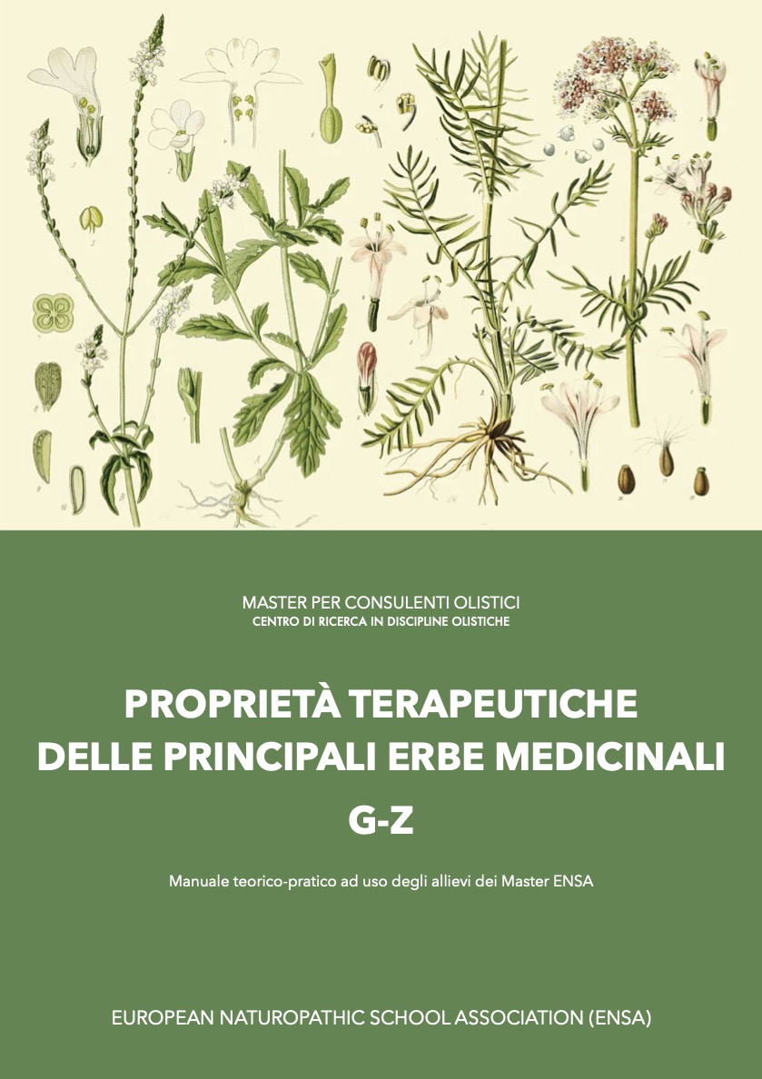 Proprietà terapeutiche delle principali erbe medicinali 2