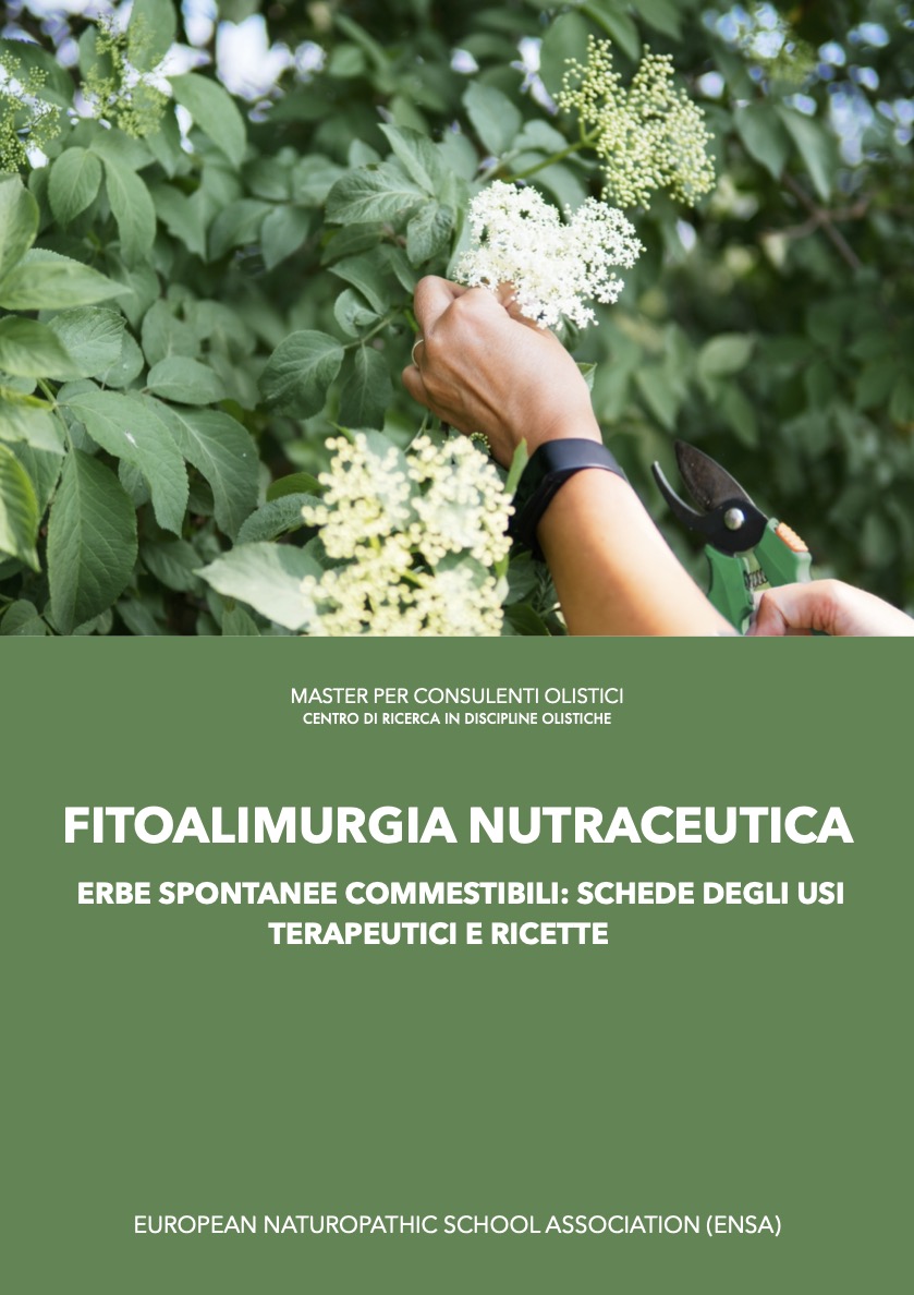 Fitoalimurgia nutraceutica