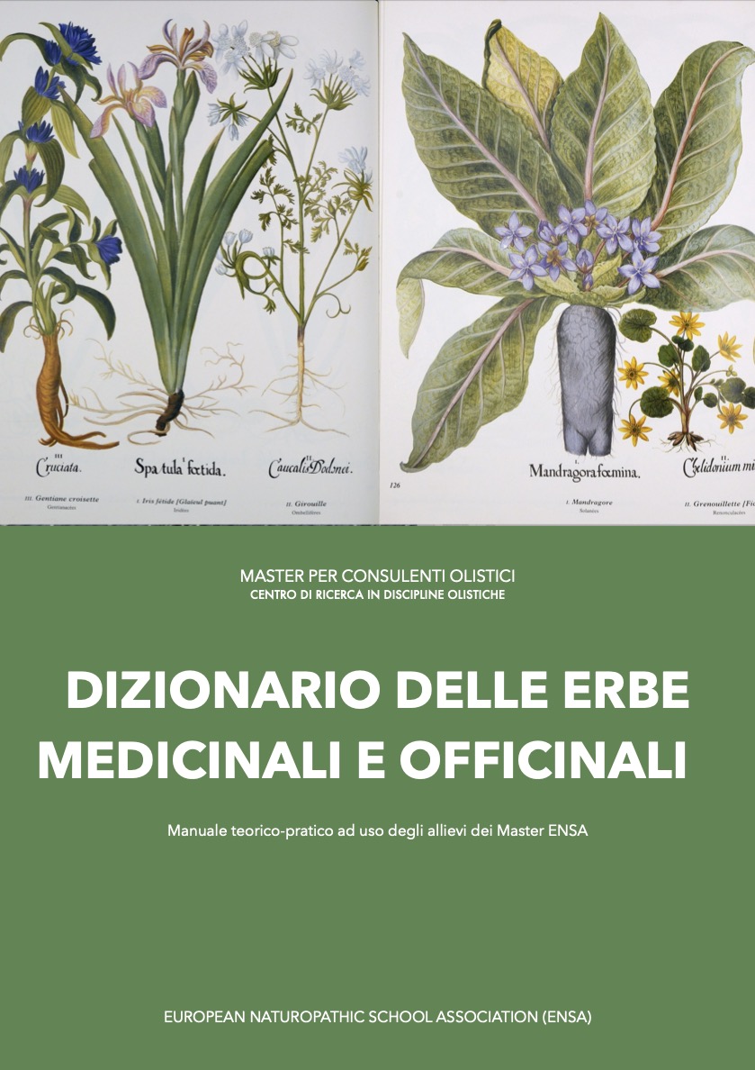 Dizionario delle erbe medicinali